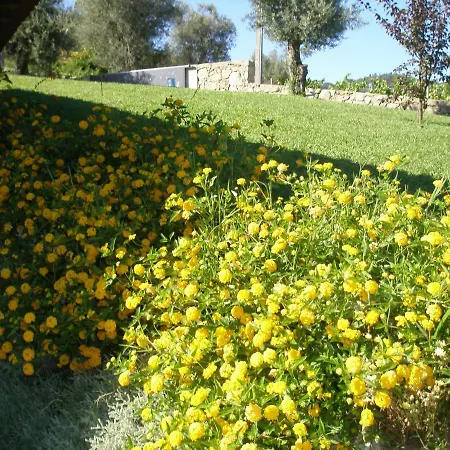 Venkovský dům Eido Da Portela -